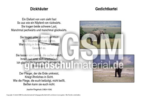 Dickhäuter-Ringelnatz.pdf